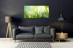 tulup.si Steklena slika Trava narava 100x50 cm 4 obešalnika