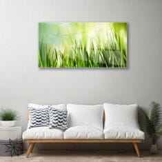 tulup.si Steklena slika Trava narava 100x50 cm 4 obešalnika