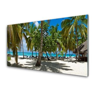 tulup.si Slika na steklu Plaža palm trees landscape 2 obešalnika