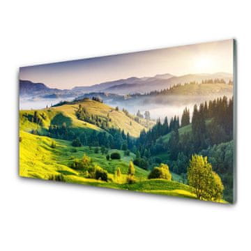 tulup.si Steklena slika Polje megla mountain nature 2 obešalnika