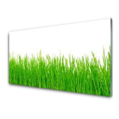 tulup.si Slika na steklu Grass nature rastlin 100x50 cm 2 obešalnika
