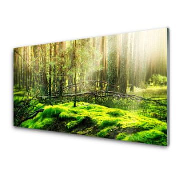tulup.si Slika na akrilnem steklu Forest moss narava 4 obešalnika