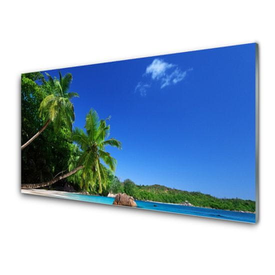 tulup.si Slika na steklu Palm trees beach landscape