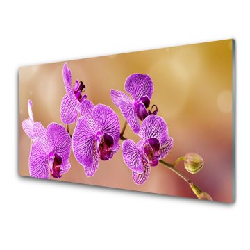 tulup.si Slika na akrilnem steklu Poganjki orchid rože narava 4 obešalnika