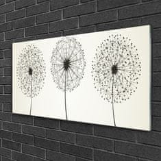 tulup.si Slika na akrilnem steklu Cvetovi rastlin narava 120x60 cm