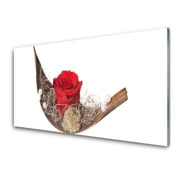 tulup.si Slika na steklu Rose flower rastlin narava 4 obešalnika
