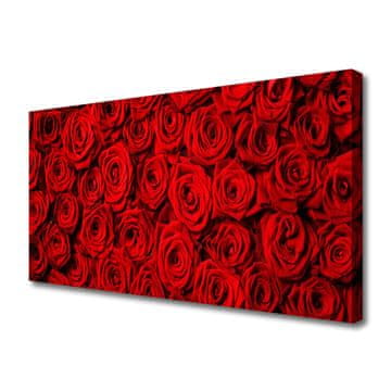 tulup.si Slika na platnu Roses na wall