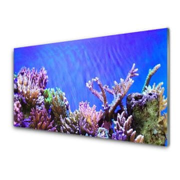 tulup.si Slika na steklu Barrier reef narava 2 obešalnika