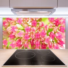 tulup.si Stenska plošča za kuhinjo Lotus cvet 100x50 cm