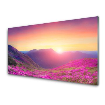 tulup.si Slika na akrilnem steklu Sun mountain travnik narava 2 obešalnika