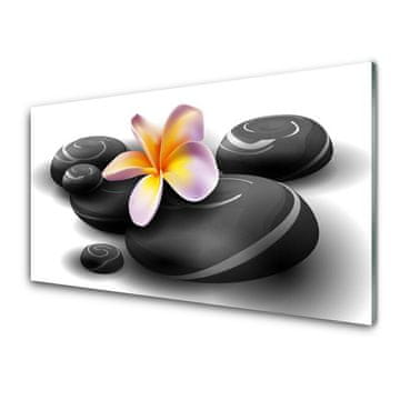 tulup.si Slika na akrilnem steklu Flower stones narava 4 obešalnika