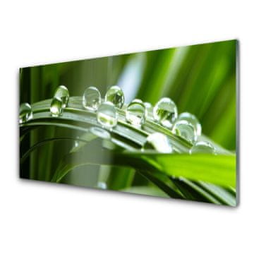 tulup.si Slika na akrilnem steklu Rastlin trava dew drops 2 obešalnika