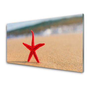 tulup.si Slika na akrilnem steklu Starfish beach art 2 obešalnika