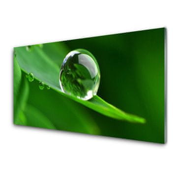 tulup.si Slika na akrilnem steklu Rastlin leaf water drops 2 obešalnika