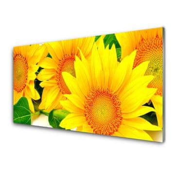 tulup.si Slika na akrilnem steklu Sončnica flower narava 4 obešalnika