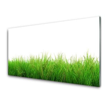 tulup.si Slika na akrilnem steklu Grass nature rastlin 4 obešalnika