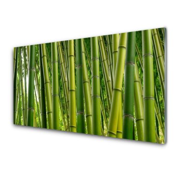 tulup.si Slika na steklu Bamboo poganjki bamboo forest 4 obešalnika