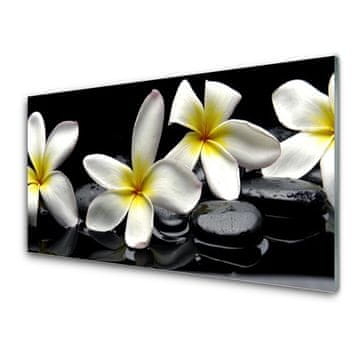 tulup.si Slika na akrilnem steklu Beautiful flower plumeria 2 obešalnika