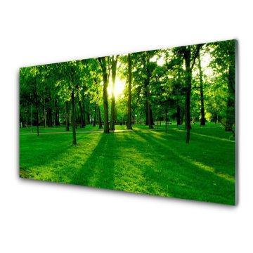 tulup.si Slika na akrilnem steklu Forest park nature 2 obešalnika