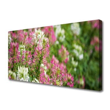tulup.si Slika na platnu Cvetje wildflowers travnik narava