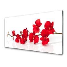 tulup.si Slika na steklu Cvetovi rastlin narava 100x50 cm 2 obešalnika
