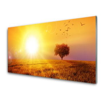 tulup.si Slika na akrilnem steklu Sunset meadow ptice 4 obešalnika