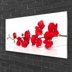 tulup.si Slika na steklu Cvetovi rastlin narava 100x50 cm 2 obešalnika