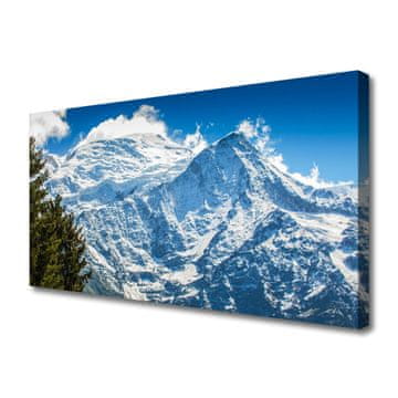 tulup.si Slika na platnu Mountain tree landscape