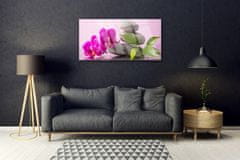 tulup.si Slika na steklu Zen cvet orhideje rastlin 100x50 cm 2 obešalnika