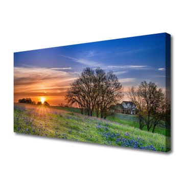 tulup.si Slika na platnu Sun travnik landscape