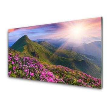 tulup.si Slika na akrilnem steklu Mountain travnik flowers landscape 4 obešalnika
