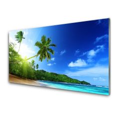 tulup.si Slika na steklu Palm beach sea landscape 100x50 cm 4 obešalnika