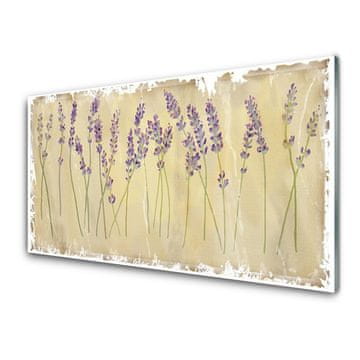 tulup.si Slika na akrilnem steklu Cvetovi rastlin narava 2 obešalnika