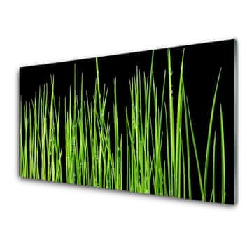 tulup.si Slika na akrilnem steklu Travnate bilke 2 obešalnika