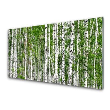 tulup.si Slika na akrilnem steklu Birch tree forest narava 2 obešalnika
