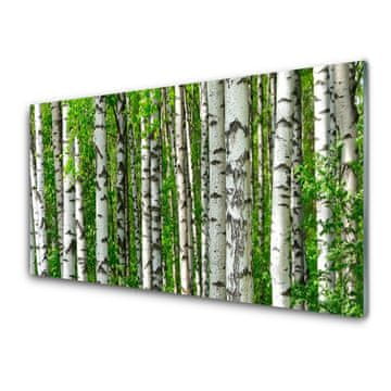 tulup.si Slika na akrilnem steklu Narava rastlin forest trees 4 obešalnika