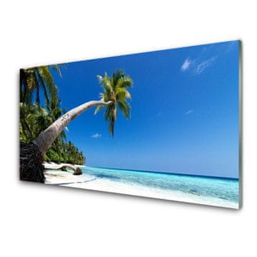 tulup.si Slika na akrilnem steklu Palm beach sea landscape 4 obešalnika