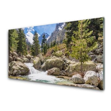 tulup.si Slika na akrilnem steklu Stones river mountain forest 2 obešalnika
