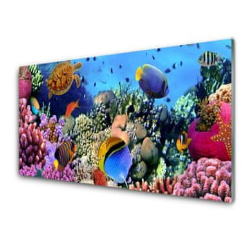 tulup.si Slika na akrilnem steklu Barrier reef narava 4 obešalnika