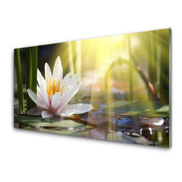 tulup.si Zidna obloga za kuhinju Sun water lily pond