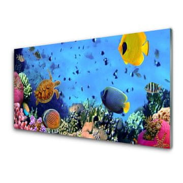 tulup.si Slika na akrilnem steklu Barrier reef narava 4 obešalnika