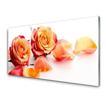 tulup.si Slika na steklu Roses flowers rastlin 2 obešalnika