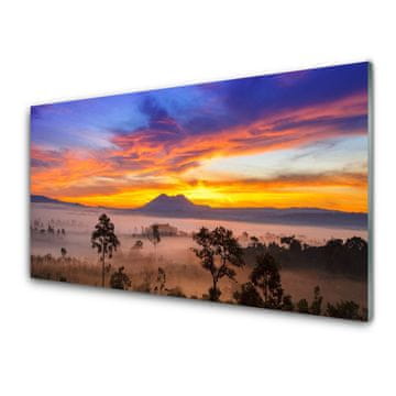 tulup.si Slika na akrilnem steklu Megla landscape drevesa 2 obešalnika
