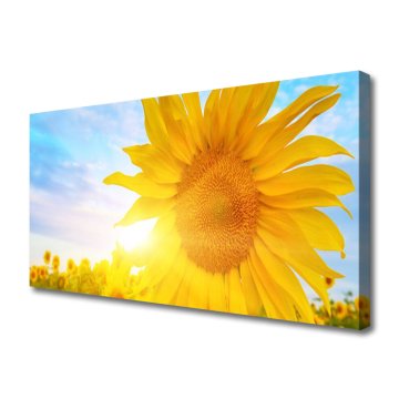 tulup.si Slika na platnu Sončnica sun flower