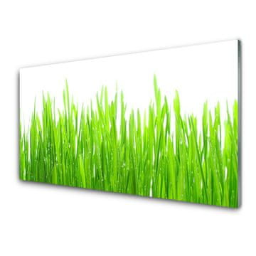 tulup.si Zidna obloga za kuhinju Grass nature rastlin