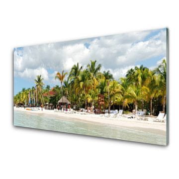 tulup.si Steklena slika Plaža palm trees landscape 2 obešalnika