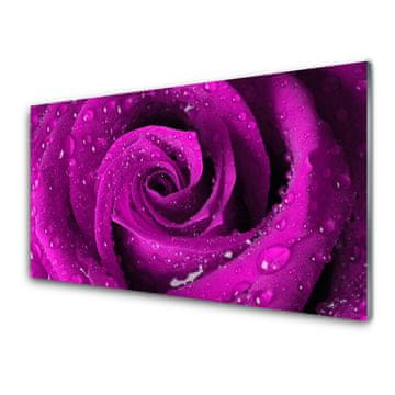tulup.si Slika na akrilnem steklu Rose flower rastlin narava 2 obešalnika