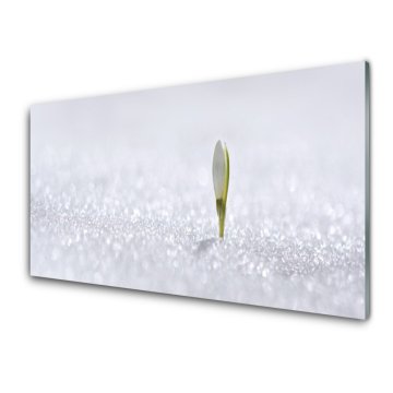 tulup.si Slika na akrilnem steklu Snowdrop sneg winter 2 obešalnika