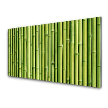 tulup.si Slika na akrilnem steklu Bamboo rastlin narava 4 obešalnika