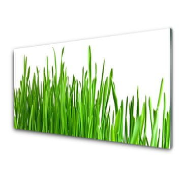 tulup.si Slika na akrilnem steklu Grass nature rastlin 2 obešalnika